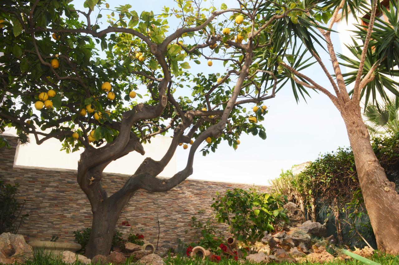 Kimos San Vito Lo Capo Exterior foto